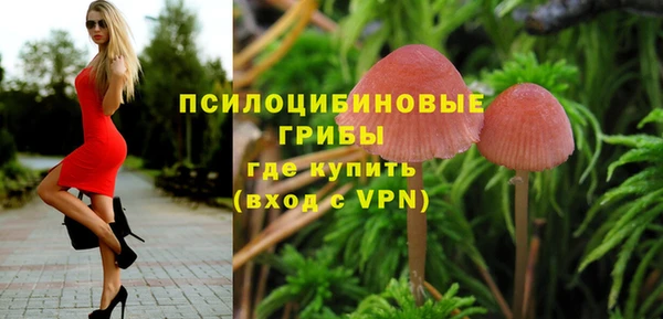 mdpv Нягань